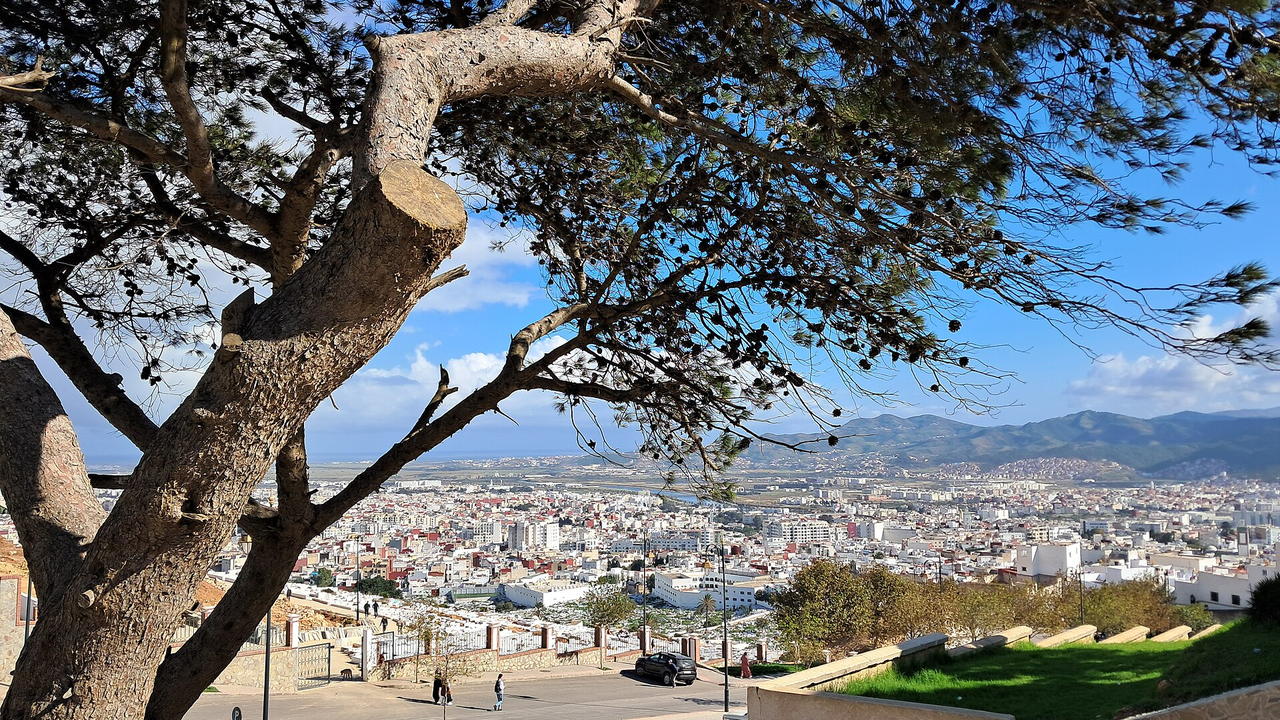 Vue sur Tétouan, la ville blanche, depuis les hauteurs de la kasbah, avec le Rif et la plaine de Martil au fond.
